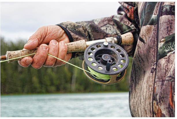 Conseils pour débutant carpiste : comment pêcher la carpe ?