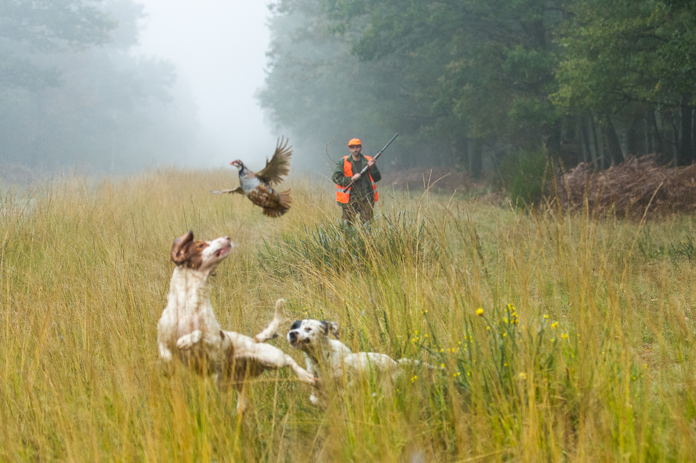 La chasse, une activité qui passionne de plus en plus