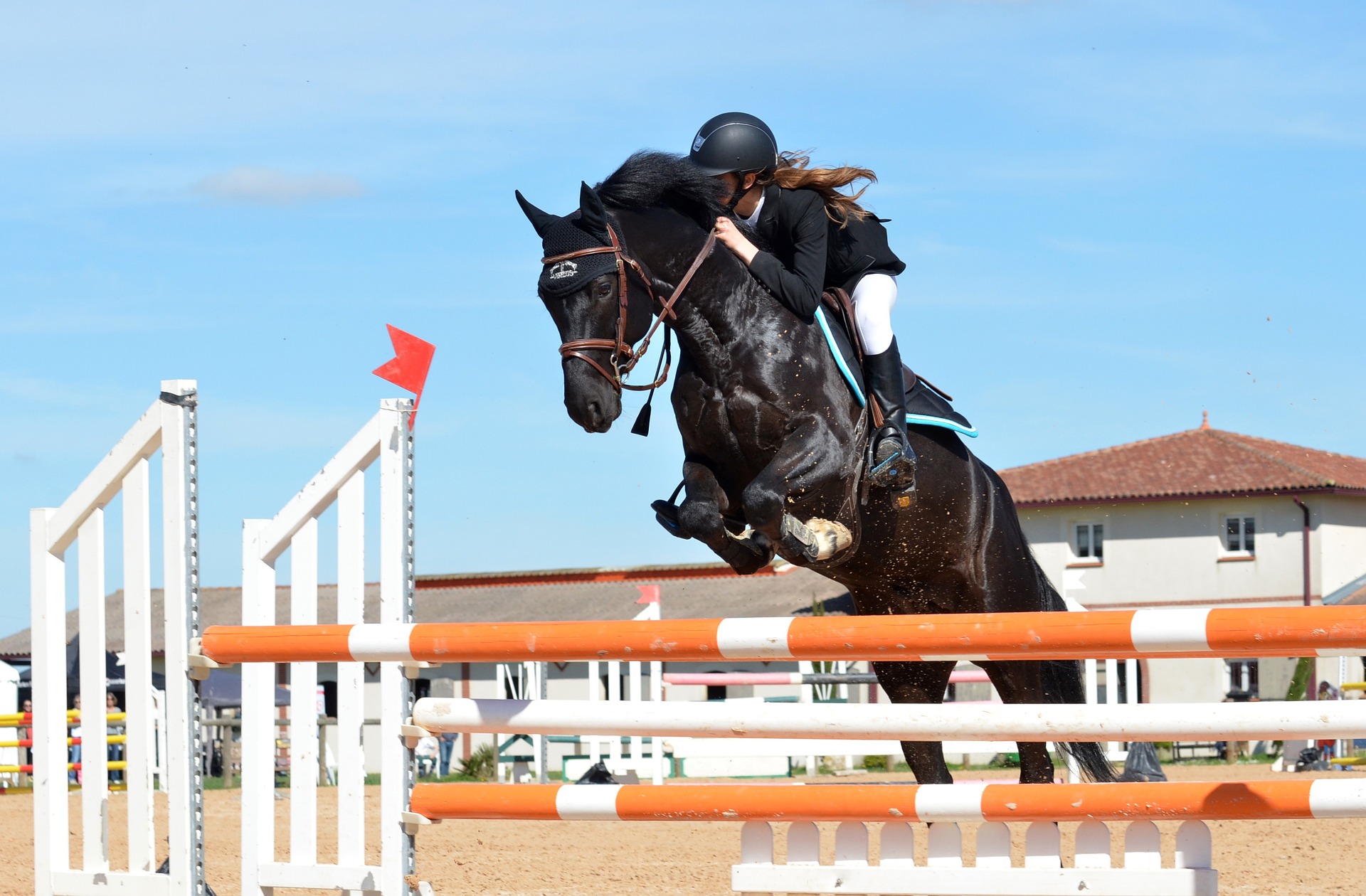 L’équitation : la passion des chevaux