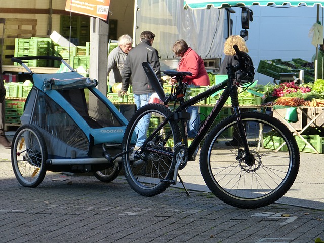 Pour vos randonnées pensez à la remorque à vélo