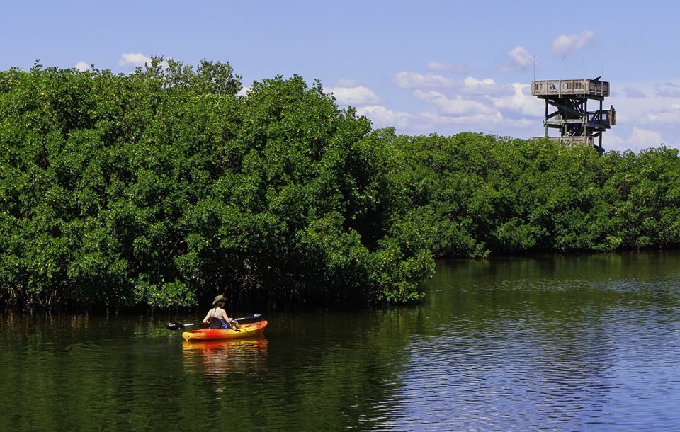 Quel équipement pour débuter en kayak ?