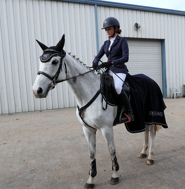 Gilet de protection équitation adulte niveau 3