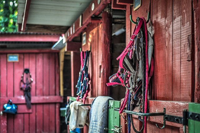 L’équipement essentiel pour commencer l’équitation