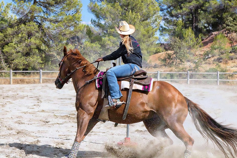 Comment choisir les meilleures bottes de sabot pour votre cheval