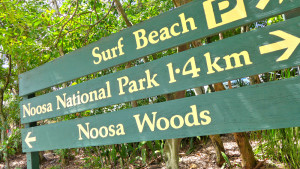 surf-AustraliTravellers-Autobarn-Noosa-beach