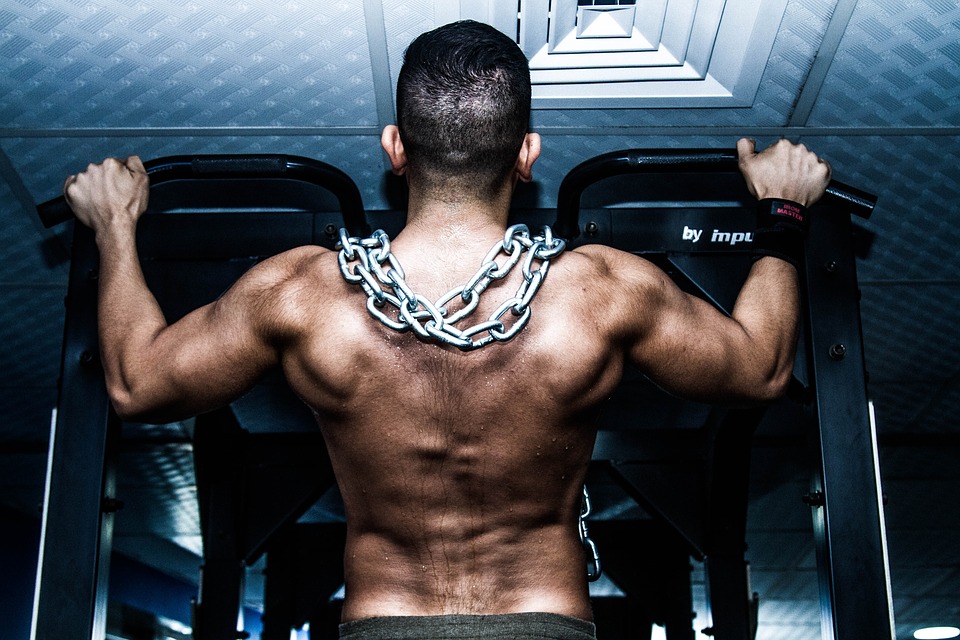 3 conseils pour construire des muscles rapidement