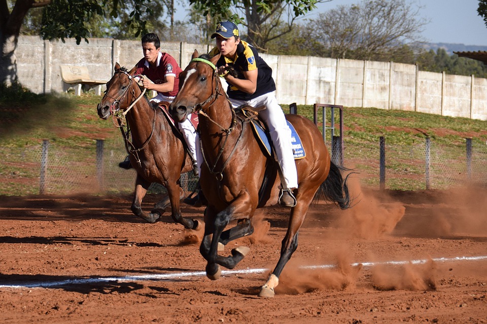 L’équitation : un sport passionnant destiné à tous les âges