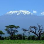 Tanzanie