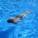 natation
